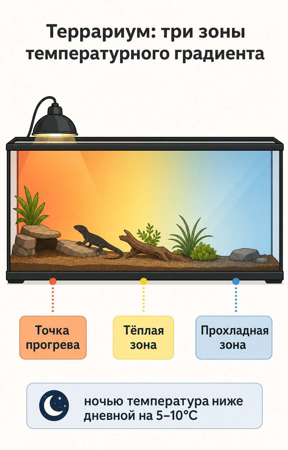 Схема трёх зон террариума: тёплая зона, прохладная зона, точка прогрева, с подписью о ночном понижении температуры